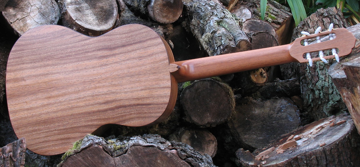 Classical Guitar Back And Sides Of Indian Walnut Classic Line I