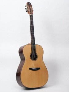 Steelstring Guitar S-Custom - Brazilian Rosewood