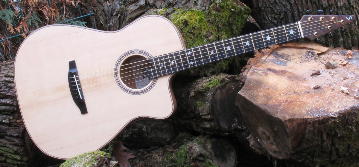 Ambition Fingerstyle CustomSilver Oak mit Zargenschalloch und Cutaway