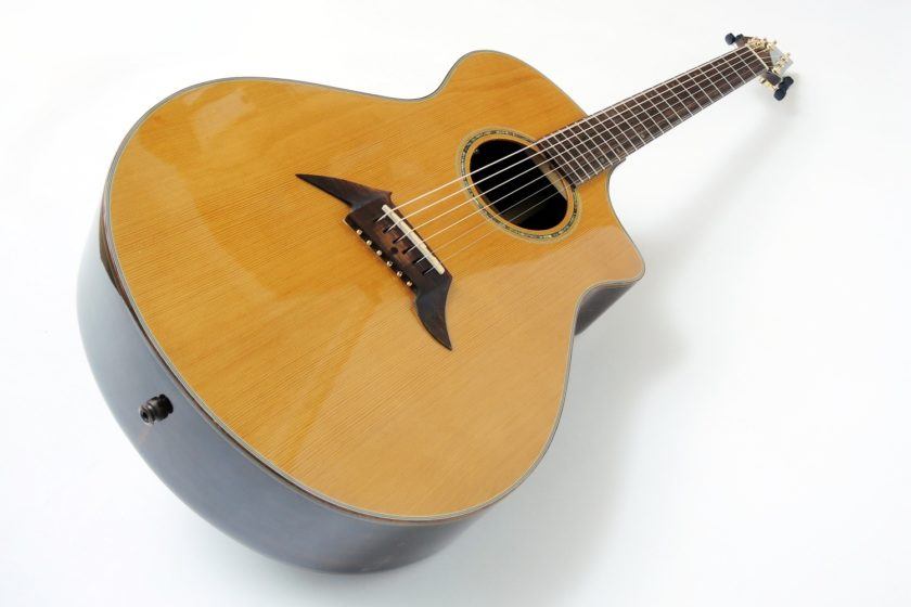 Breedlove Cascada gebraucht