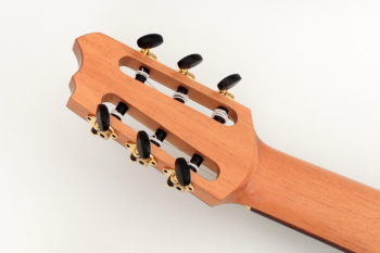 Classicbass Akustik Bass 6-Saiter Fächerbünden Armauflage