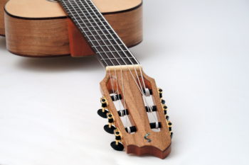 Classicbass Akustik Bass 6-Saiter Fächerbünden Armauflage