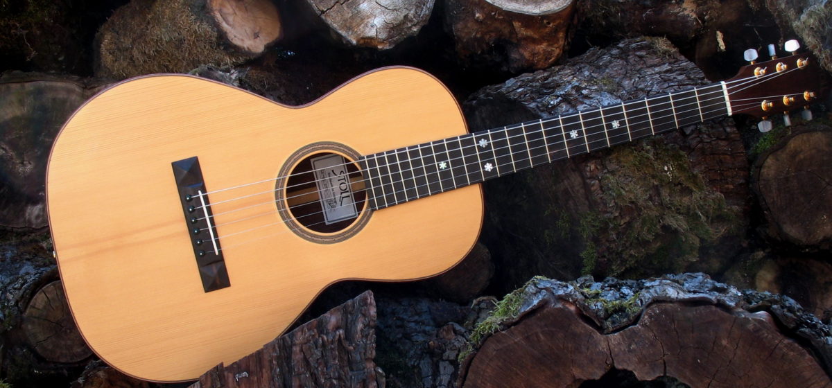 parlour folk stahlsaiten gitarre