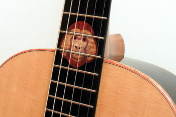 Orang Utan Gitarre