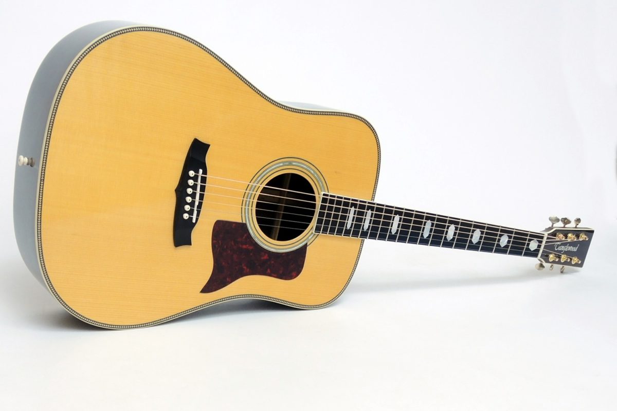 Tanglewood Dreadnought TW 1000