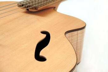 akustik bass archtop