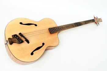 akustik bass archtop