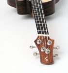 akustik bass ukulele fanned frets faecherbuende multiscale zargenschallloch tonabnehmer palisander