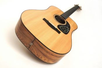 Fender ESD 10 Acoustic Gitarre gebraucht zu verkaufen