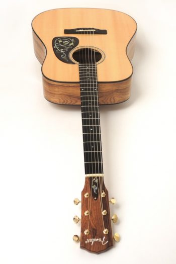 Fender ESD 10 Acoustic Gitarre gebraucht zu verkaufen