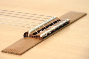 gitarre einheimische hoelzer Walnuss Erle Robinie Fichte klassische konzert Estudio stoll gitarrenbau