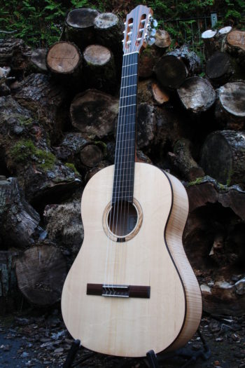 klassische Gitarre teil-bundiert Primera Custom