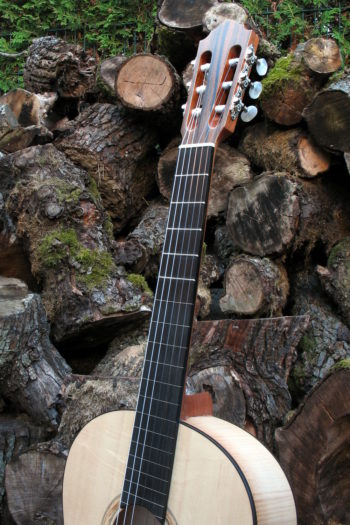 klassische Gitarre teil-bundiert Primera Custom