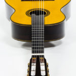 Klassische Meister Solisten gitarre Evolution M