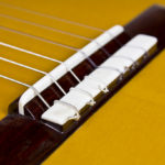 Klassische Meister Solisten gitarre Evolution M