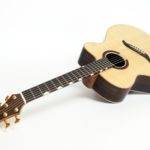 Mini jumbo palisander faecherbuende fanned frets cutaway