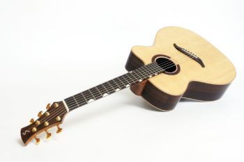 Mini jumbo palisander faecherbuende fanned frets cutaway