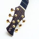 Mini jumbo palisander faecherbuende fanned frets cutaway