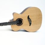 Mini jumbo palisander faecherbuende fanned frets cutaway