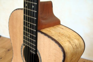 proCut Extrem-Cutaway an Alegra
