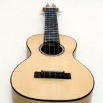 solisten konzert ukulele profi gitarrenbauer robinie