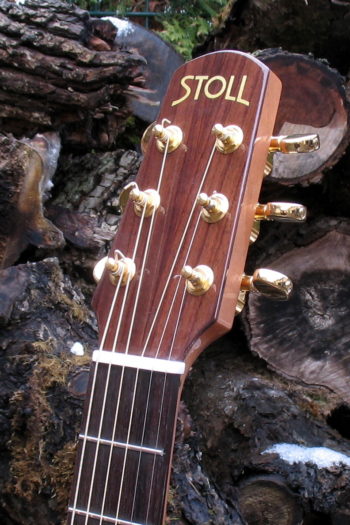 Stahlsaiten-Gitarre mit Hochglanz-Palisander-Korpus und goldenen Mechaniken