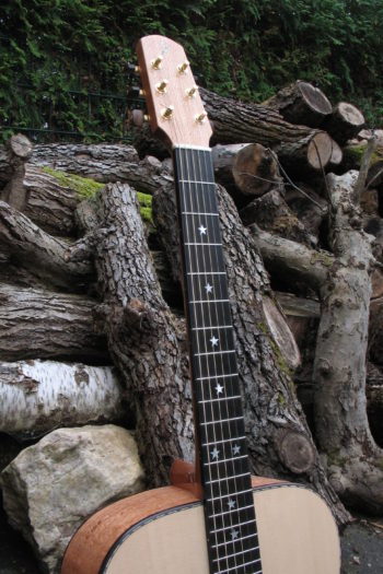 Stahlsaiten-Gitarre mit 3 Tonabnehmern - Ambition Silbereiche - Hals