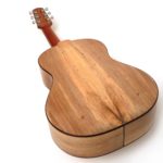 stahlsaiten-reisegitarre western steelstring walnuss Pt69 Travel