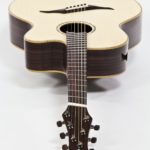 stahlsaiten western steel string gitarre IQ Bevel fanned frets