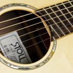 stahlsaiten western steel string gitarre IQ Bevel fanned frets