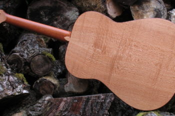 Stahlsaiten Gitarre indische Silbereiche: Ambition - Boden