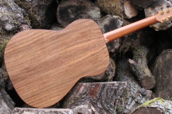 Stahlsaiten Gitarre indische Walnuss: Ambition - Boden