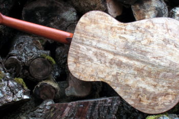Stahlsaiten Gitarre spalted Mango: Ambition - Boden