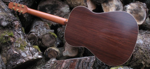 Stahlsaiten Gitarre indischer Palisander: Ambition - Boden