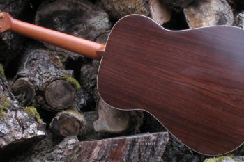 Stahlsaiten Gitarre indischer Palisander: Ambition - Boden