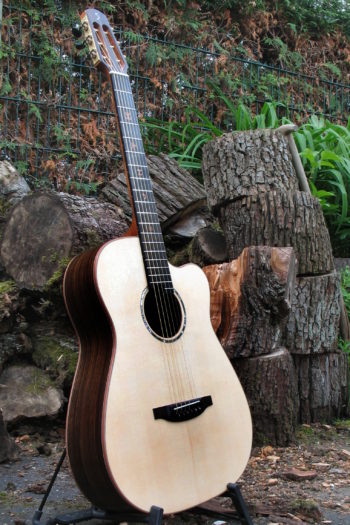 Gitarrenbau Christian Stoll: Stahlsaitengitarre Ambition Fingerstyle Cutaway mit Griffbrett-Inlays - links