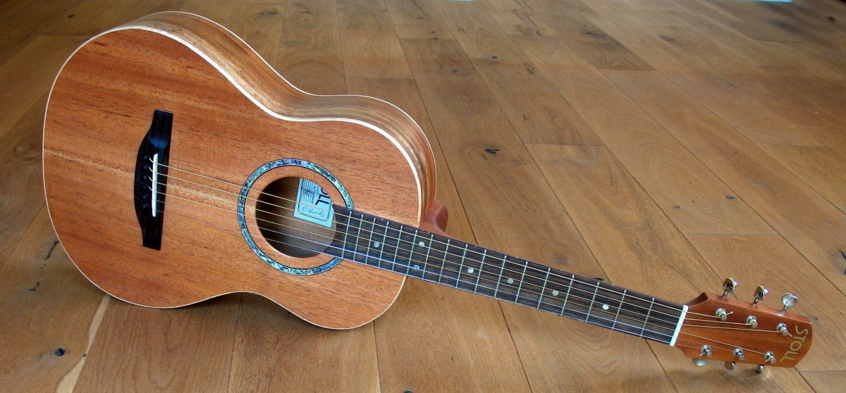 Steelstring Reisegitarre Vollmahagoni spalted Pt69 travel