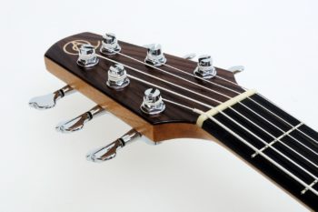 Classic acoustic Bass 6-string fanfrets breavel