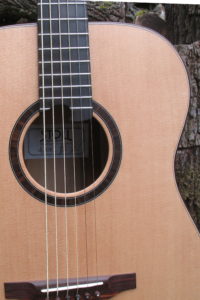 Steelstring Guitar Ambition Bariton - Walnut with side soundport - rosette
