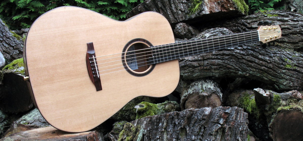 Steel String Guitar Ambition Baritone Walnut