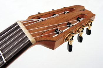 Acoustic bass Classic Bass 6-string fanned frets bevel