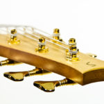 Multiscale Acoustic IQ Bass fanned frets Stoll Luthier