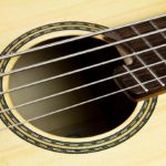 Multiscale Acoustic IQ Bass fanned frets Stoll Luthier