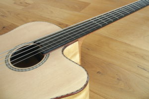 IQ Acoustic Bass 5 string semi fretless - fret board