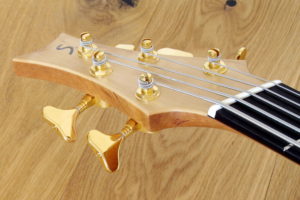 IQ Acoustic Bass 5 string semi fretless - head
