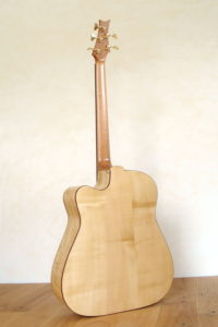 IQ Acoustic Bass 5 string semi fretless - back