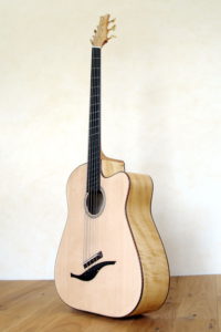 IQ Acoustic Bass 5 string semi fretless