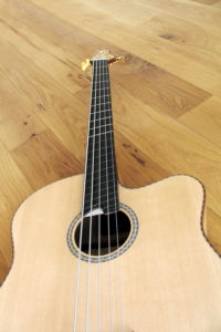 IQ Acoustic Bass 5 string semi fretless - fret board
