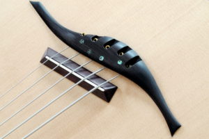 IQ Acoustic Bass 5 string semi fretless - bridge