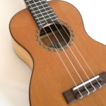 Concert Ukulele Walnut Cedar